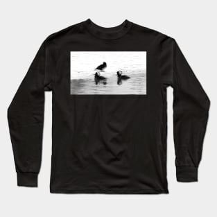 Hooded Mergansers Long Sleeve T-Shirt